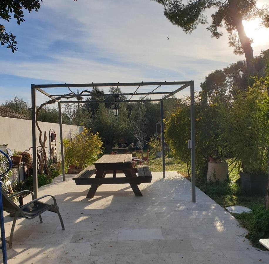 Gites Du Mas Gibert A Saussines Entre Nimes Et Montpellier Екстериор снимка